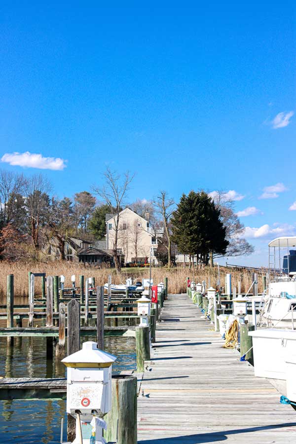 eastern yacht club marblehead membership cost